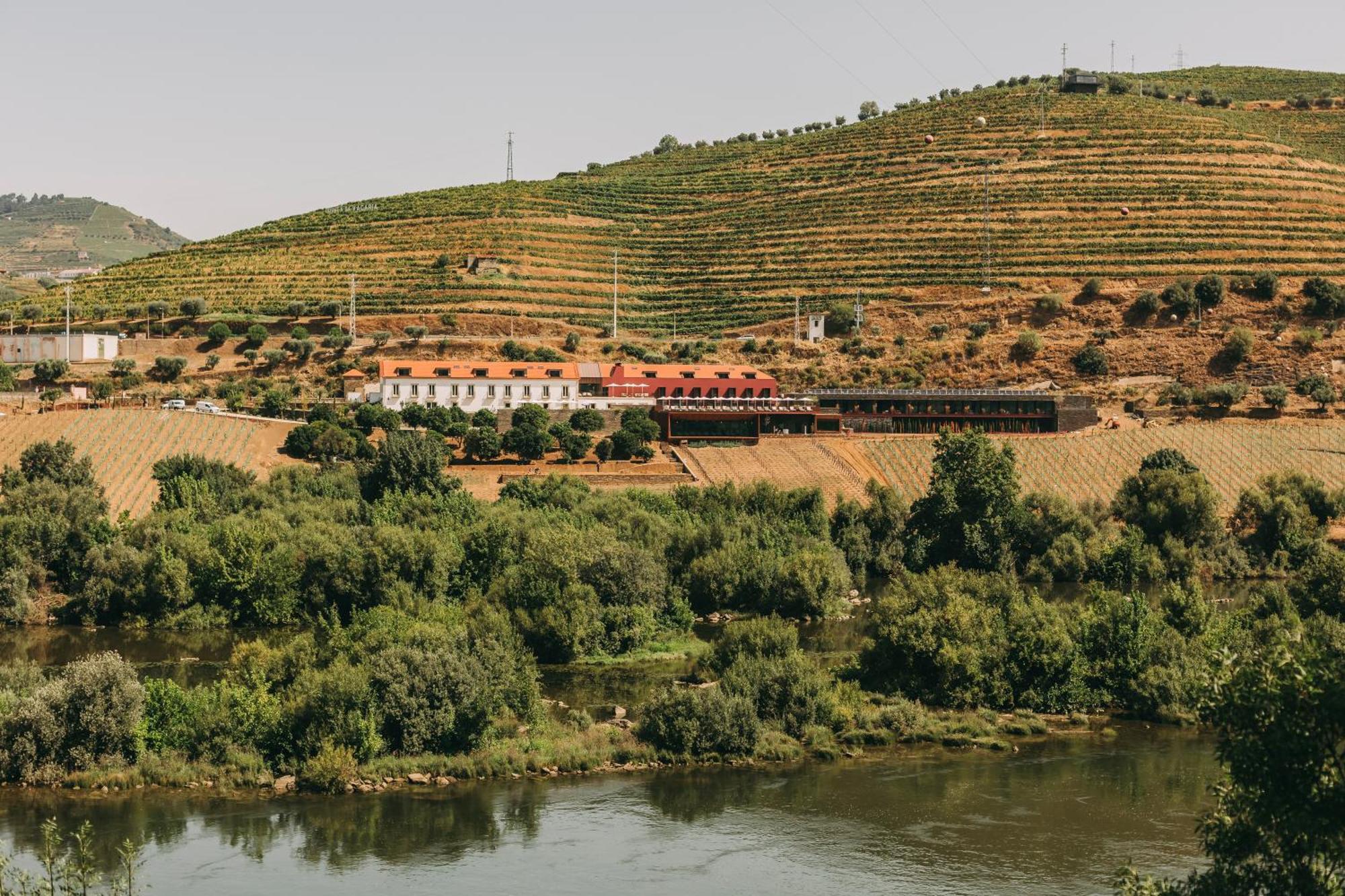 Torel Quinta Da Vacaria - Douro Valley Hotel Peso da Regua Exterior photo